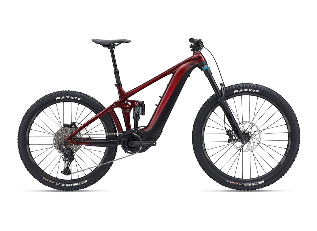 2024 Giant Reign E+ 2 25km/h