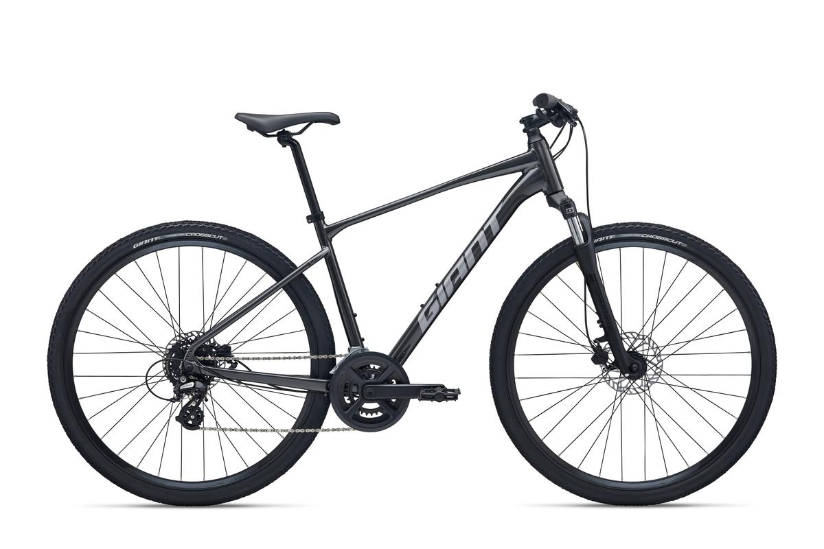 2026 Giant Roam 4